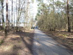 (Bild)